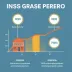 Período de graça do INSS é verdade! Veja quanto tempo você pode ficar sem contribuir