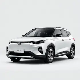 BYD enfrenta rivais, amplia promoção e vende King mais barato que Dolphin em 22/06