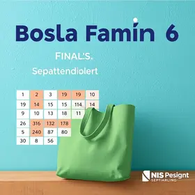 Bolsa Família paga NIS final 6 nesta quinta; calendário de setembro segue até dia 30