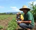 FGTS libera saque de até R$ 6.220 para trabalhadores de 4 cidades do Paraná; pedido vai até 21 de dezembro