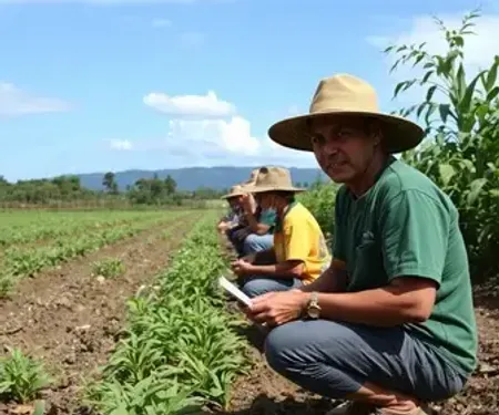 FGTS libera saque de até R$ 6.220 para trabalhadores de 4 cidades do Paraná; pedido vai até 21 de dezembro