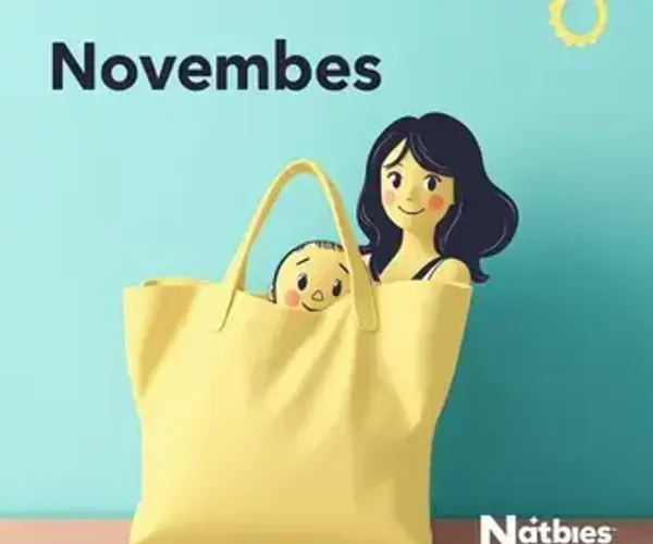 Bolsa Família antecipa pagamentos de novembro para NIS finais 3 a 0