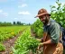 Agro Amazônia: Vagas Abertas e Oportunidades de Trabalho